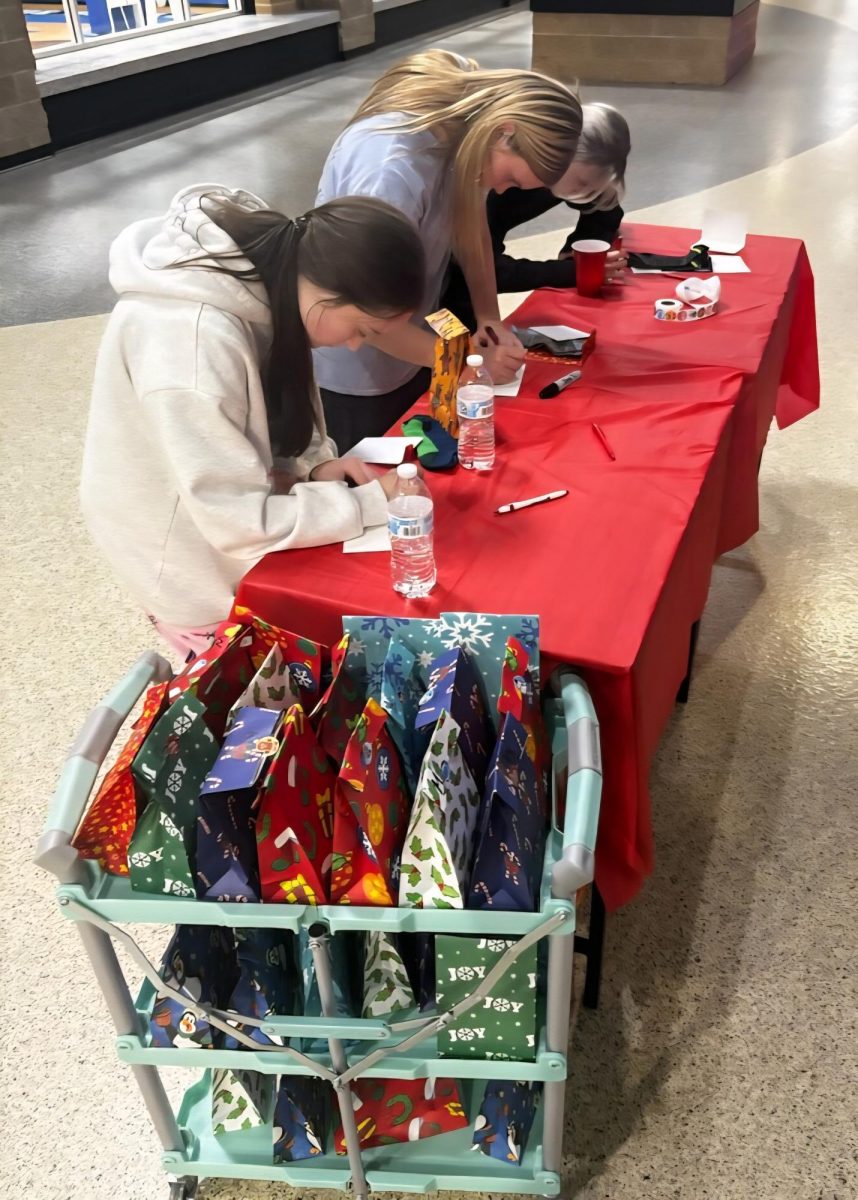 FCCLA members put together care packages for community service project