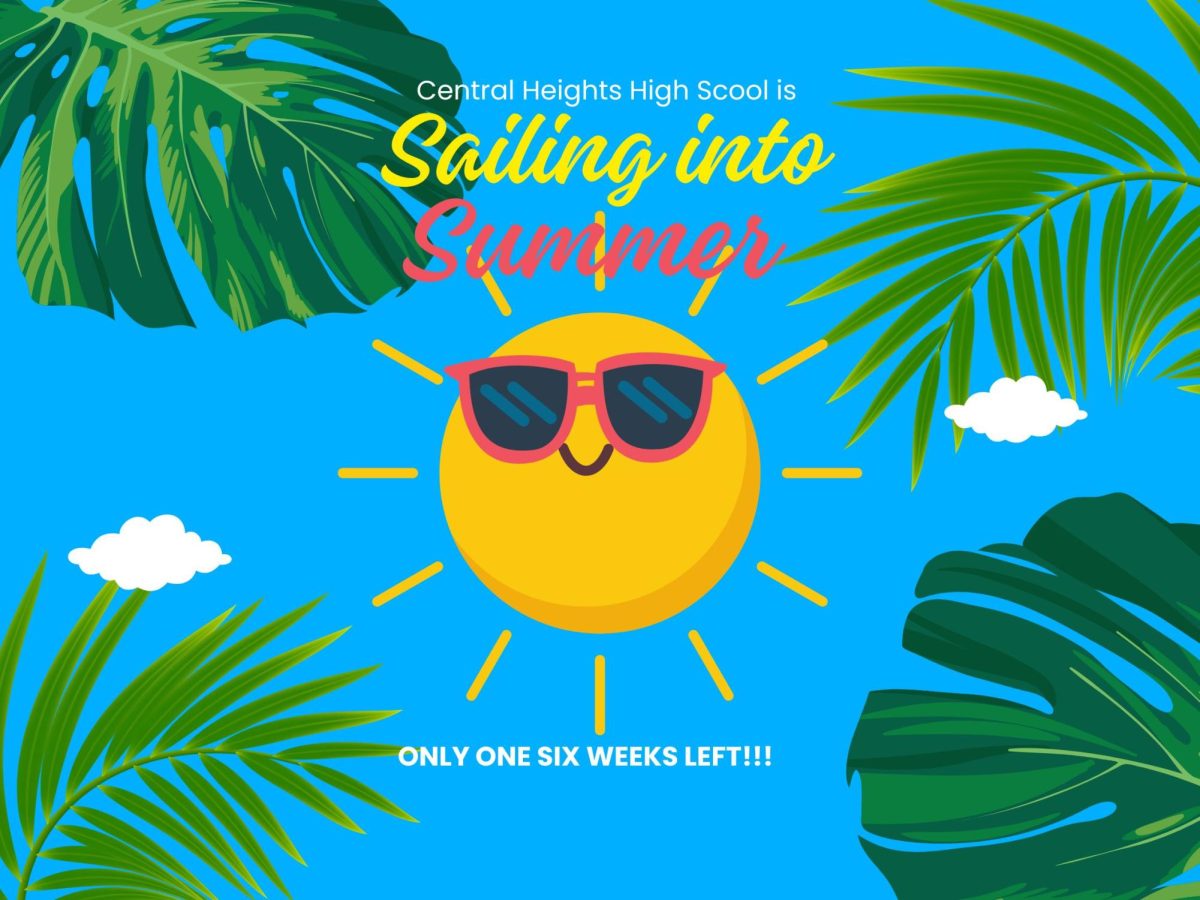 Sailing into summer